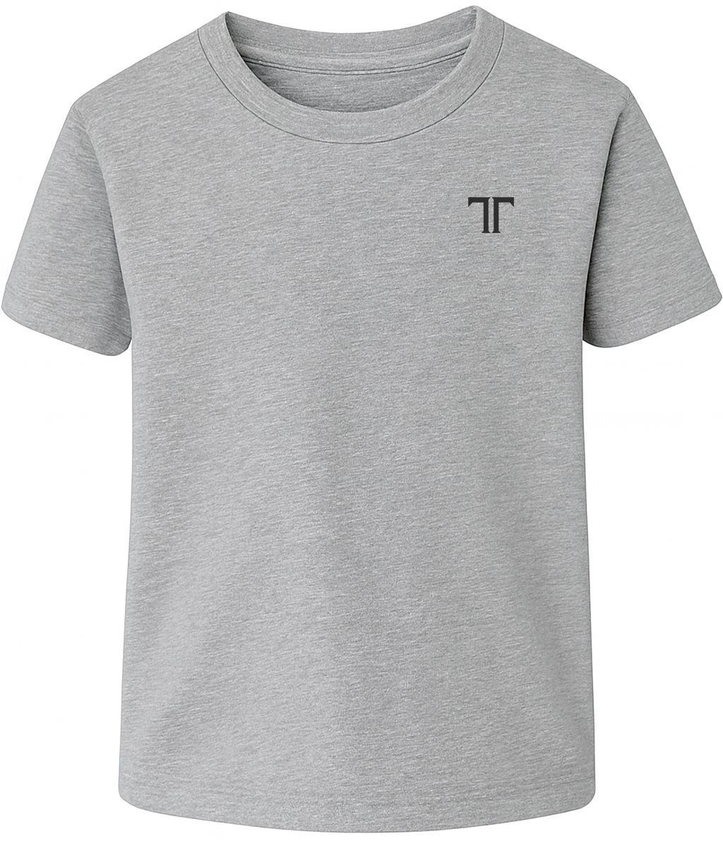 TT Big Swing Grey Boys